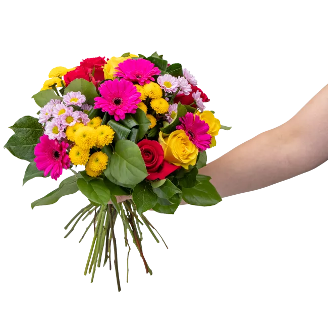 Kytice růží, germín a santin